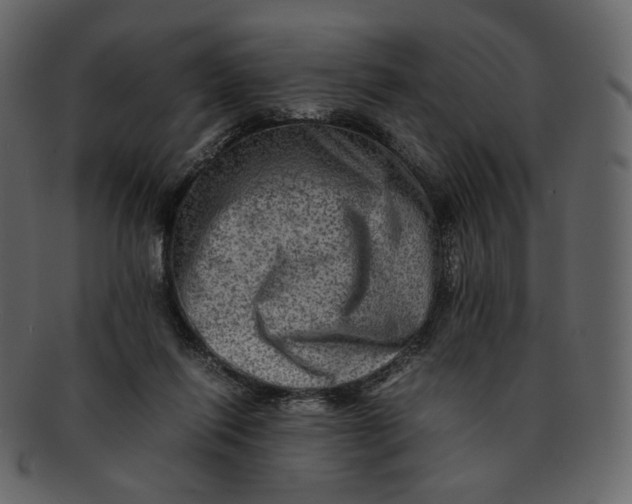 X0000092290262200710051207