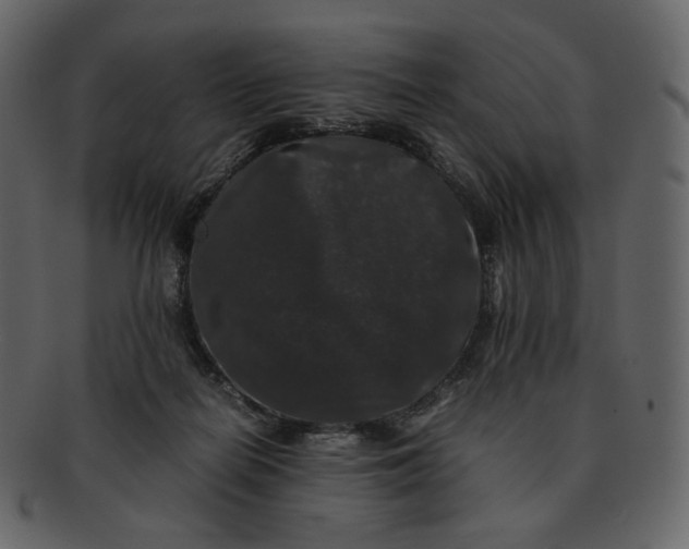 X0000092290266200710051207