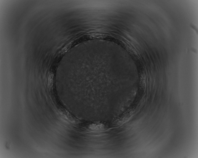 X0000092290271200710051207