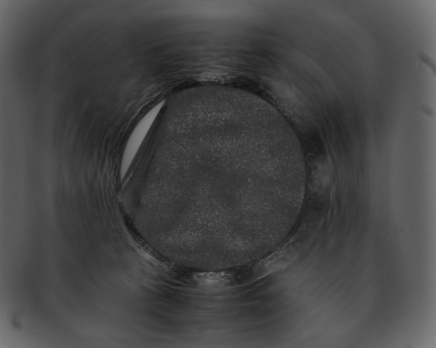 X0000092290273200710051207