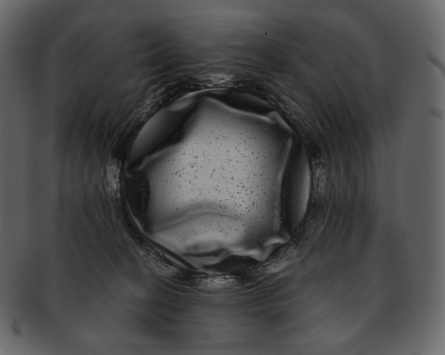 X0000092290274200710051207