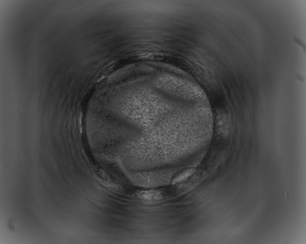 X0000092290275200710051207