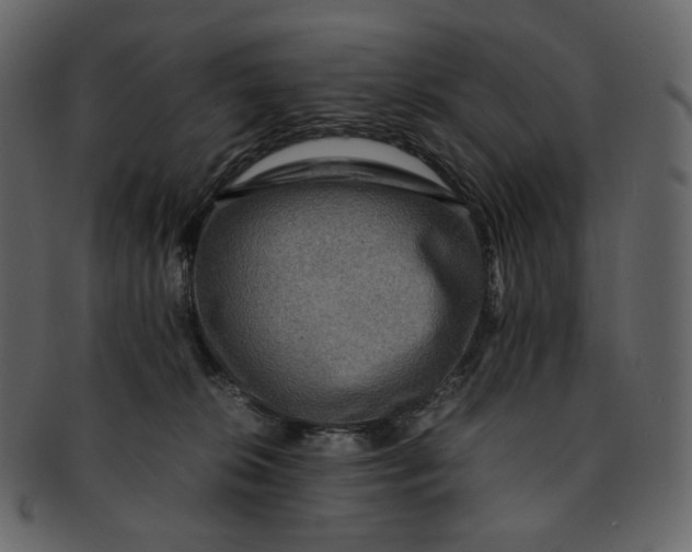 X0000092290276200710051207