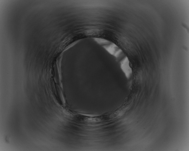 X0000092290277200710051207