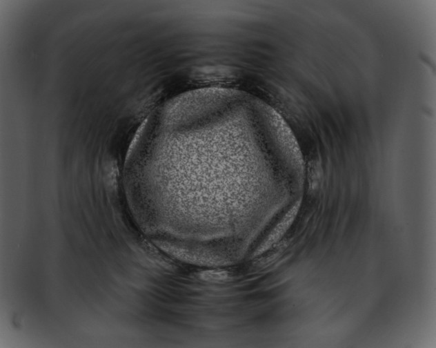 X0000092290279200710051207