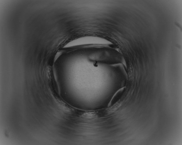 X0000092290280200710051207