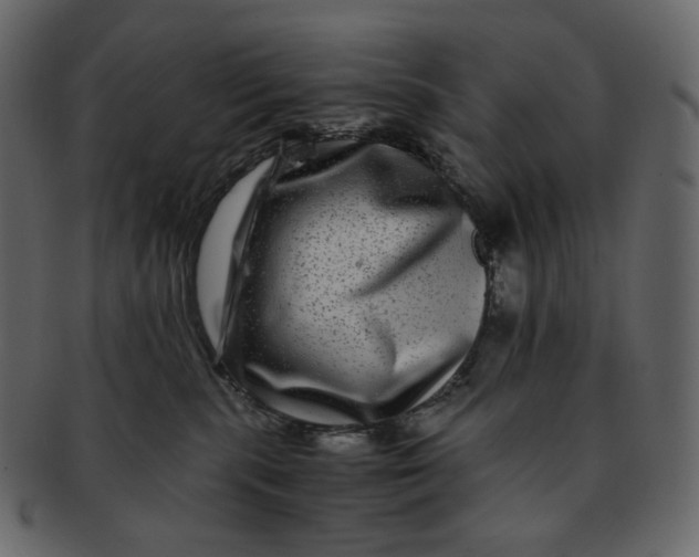 X0000092290283200710051207