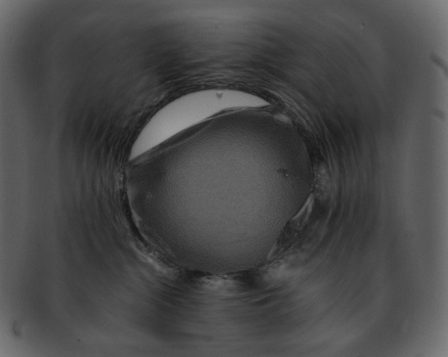 X0000092290284200710051207