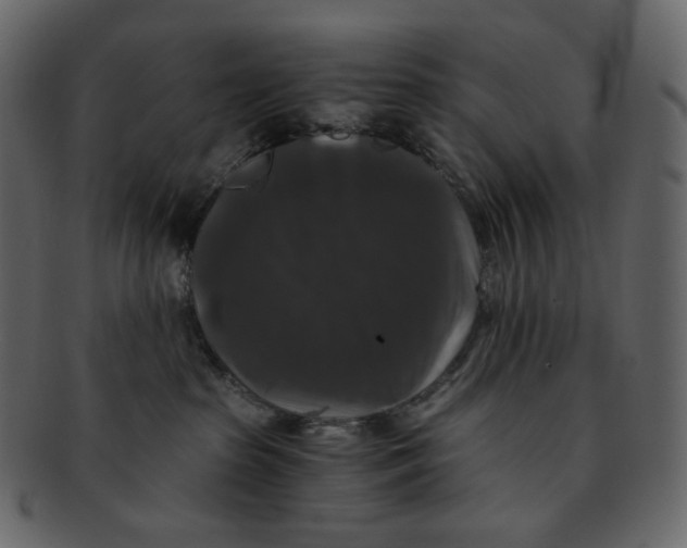 X0000092290285200710051207