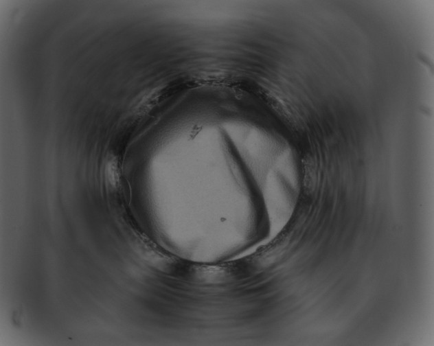 X0000092290287200710051207