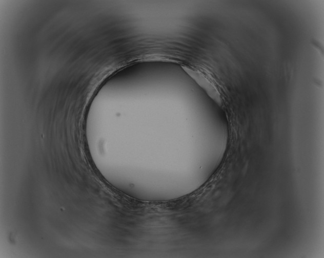 X0000092290289200710051207