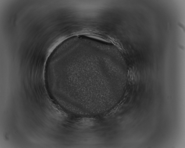 X0000092290292200710051207