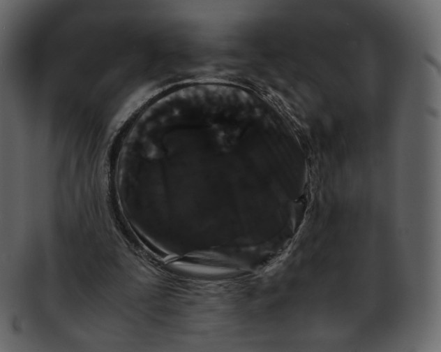 X0000092290295200710051207