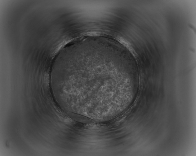 X0000092290297200710051207