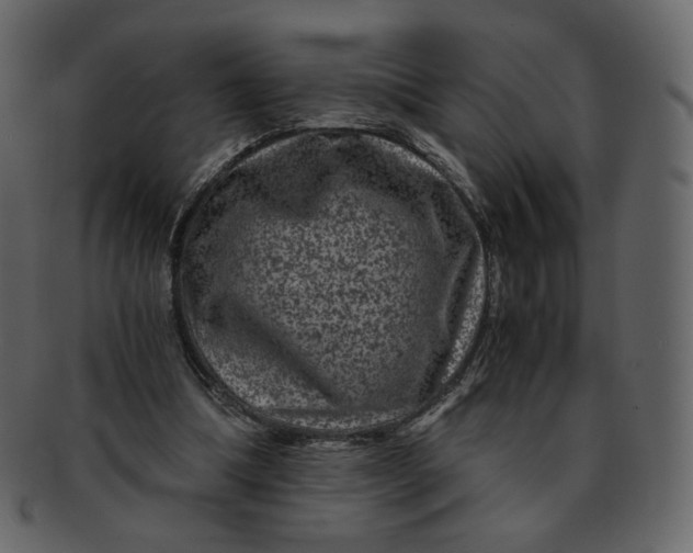 X0000092290298200710051207