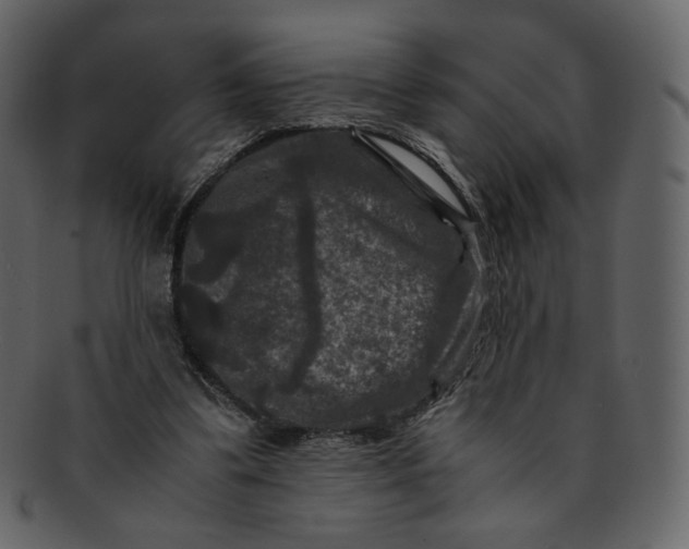 X0000092290299200710051207