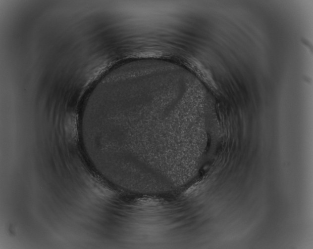 X0000092290300200710051207