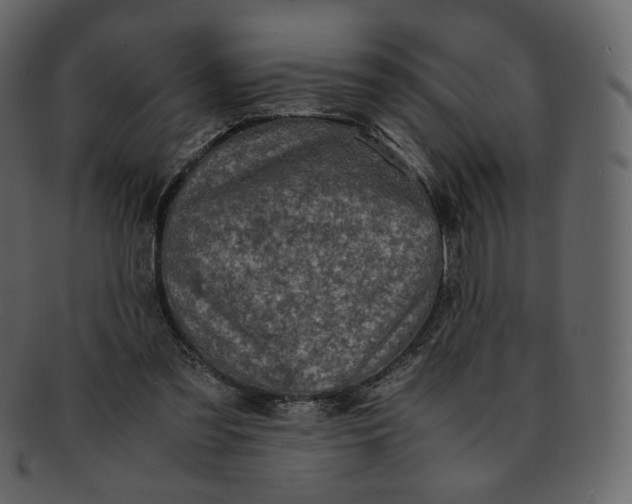 X0000092290301200710051207