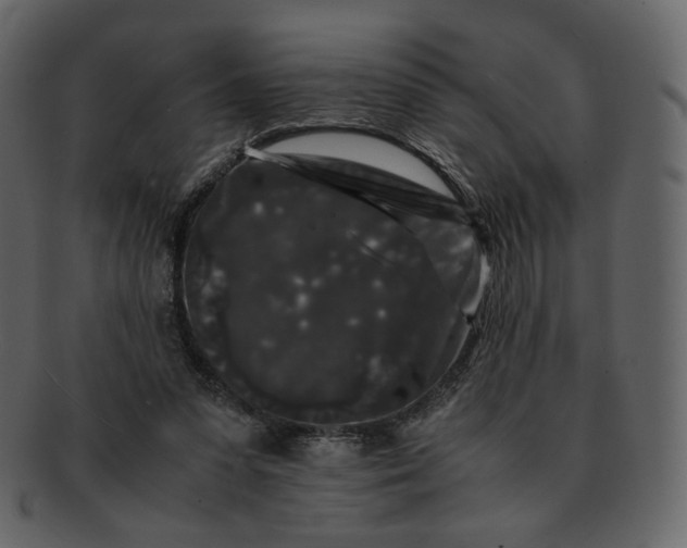 X0000092290303200710051206