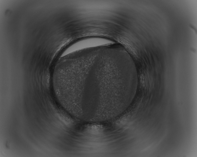 X0000092290304200710051206