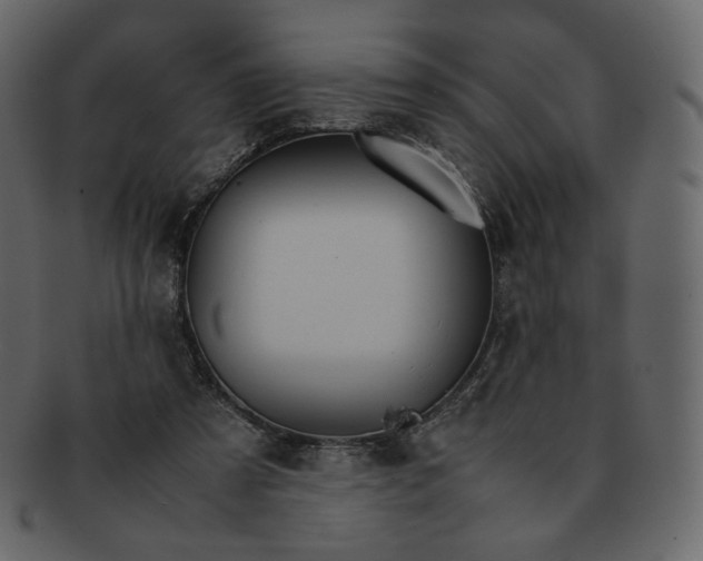 X0000092290305200710051206