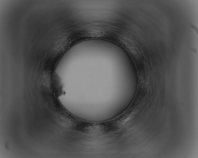 X0000092290307200710051206