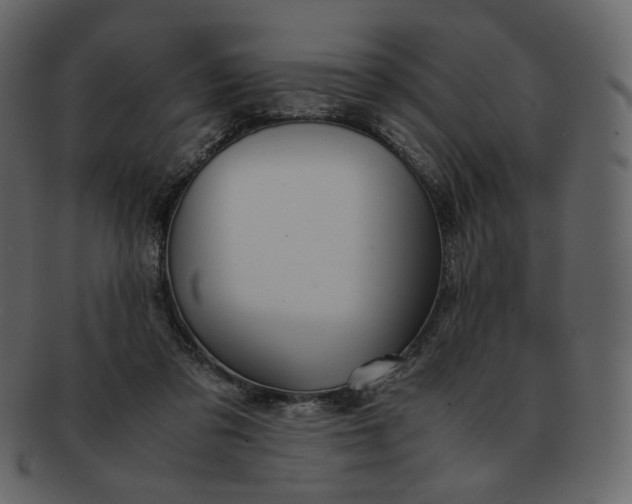 X0000092290309200710051206