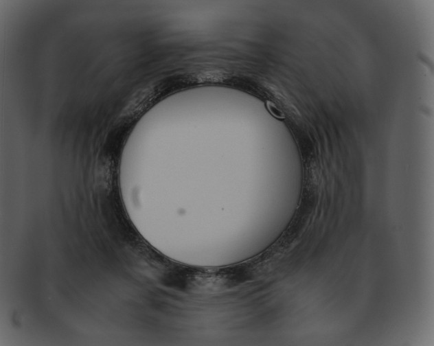 X0000092290311200710051206