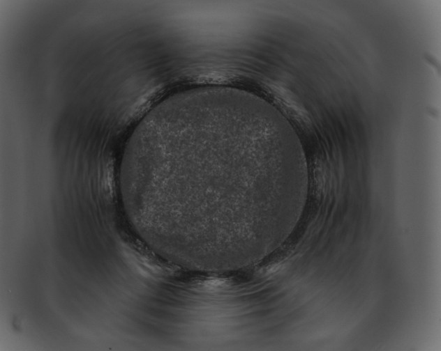 X0000092290312200710051206