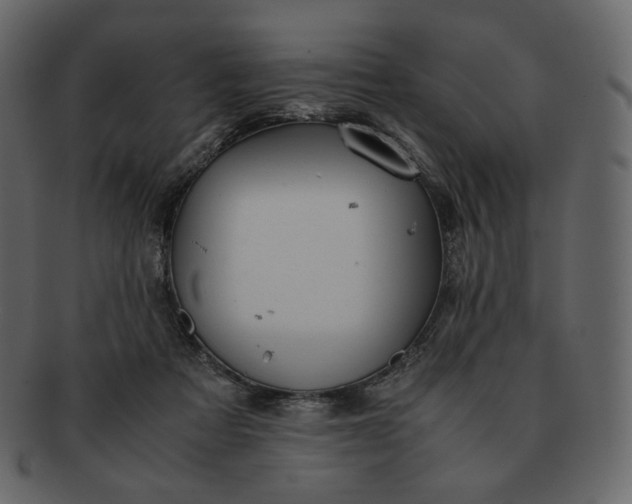 X0000092290313200710051206