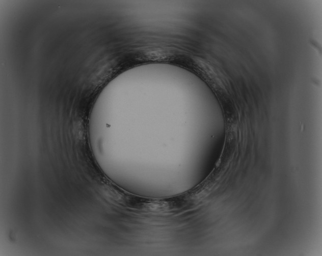 X0000092290317200710051206