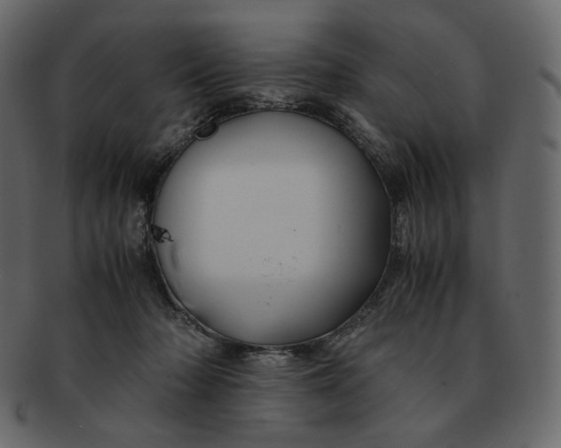 X0000092290318200710051206