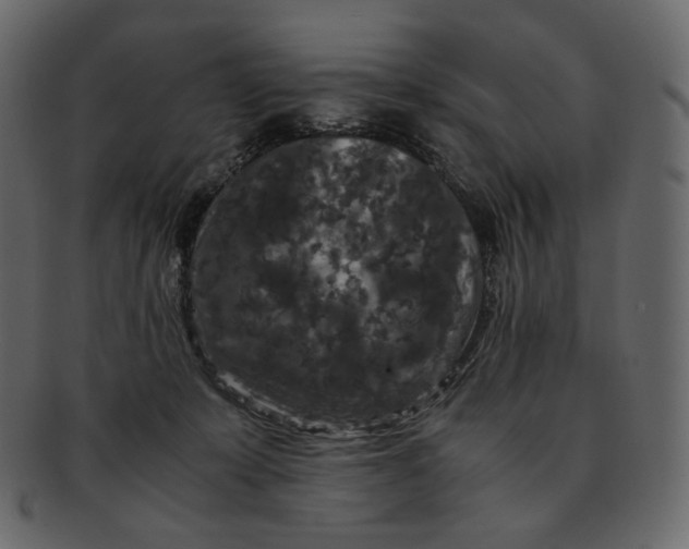 X0000092290319200710051206