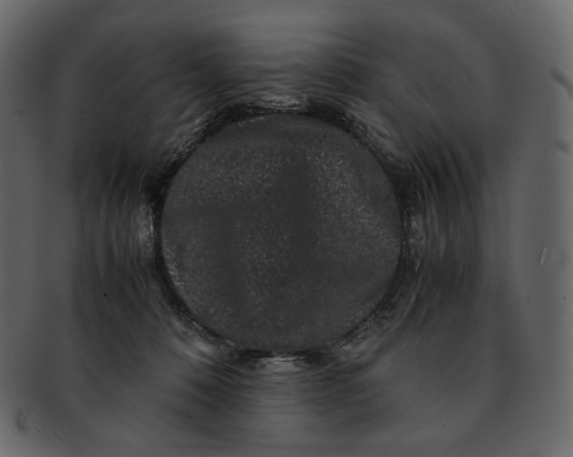 X0000092290320200710051206