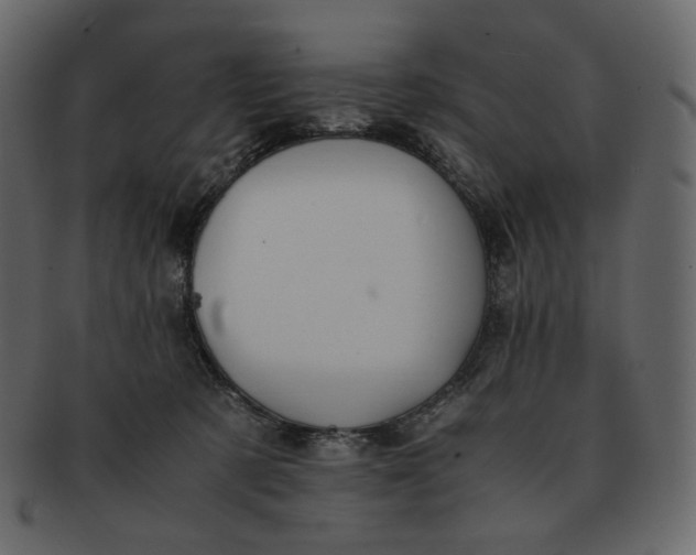 X0000092290321200710051206