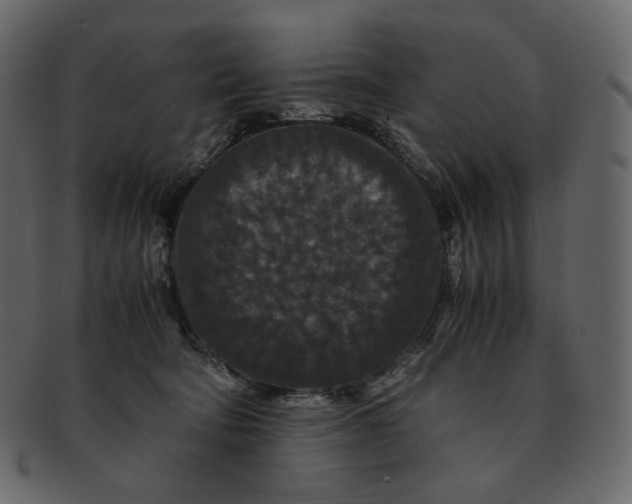 X0000092290322200710051206