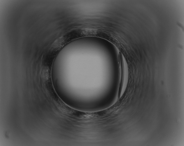 X0000092290323200710051206