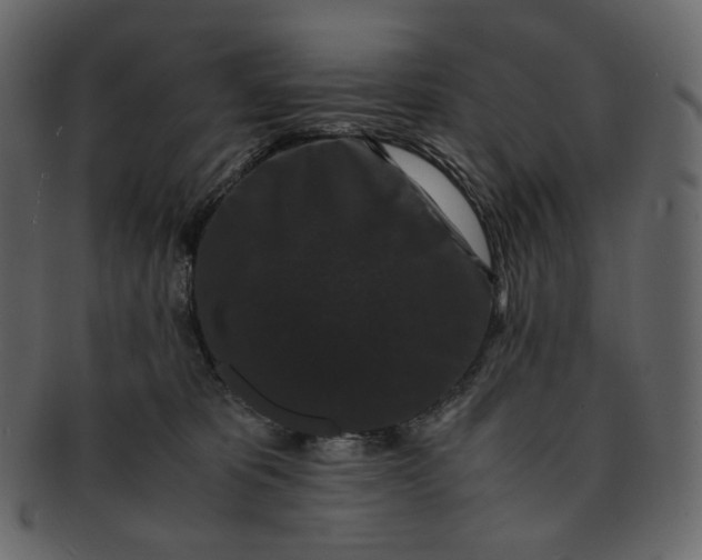 X0000092290325200710051206