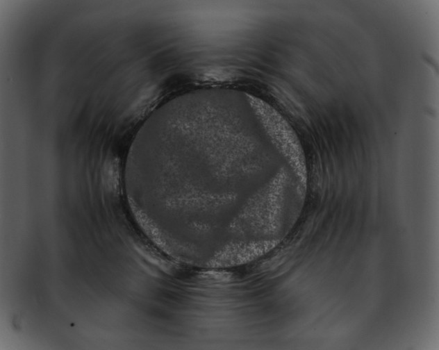 X0000092290328200710051206