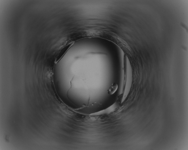 X0000092290329200710051206