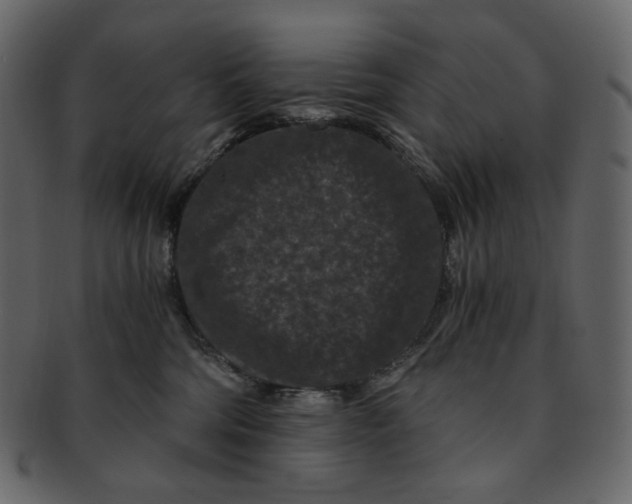 X0000092290330200710051206