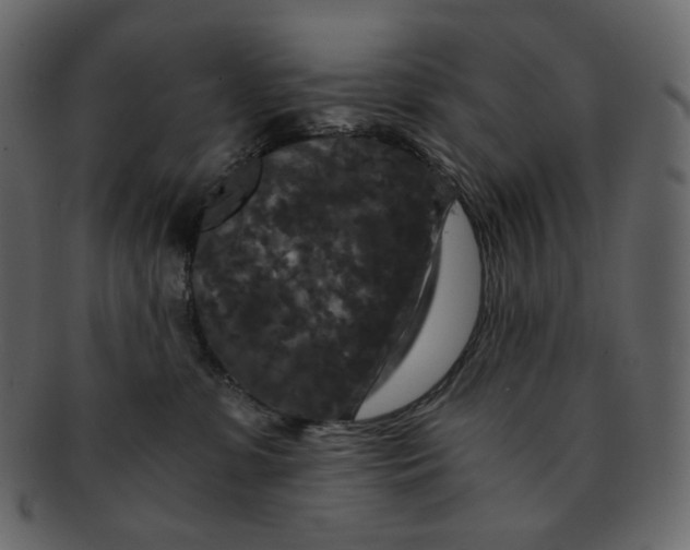 X0000092290331200710051206