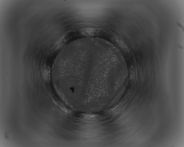 X0000092290332200710051206