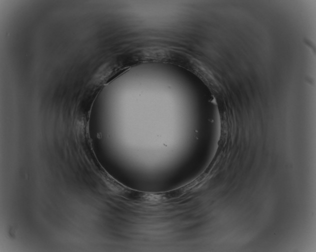 X0000092290333200710051206