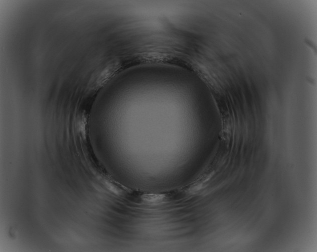 X0000092290334200710051206