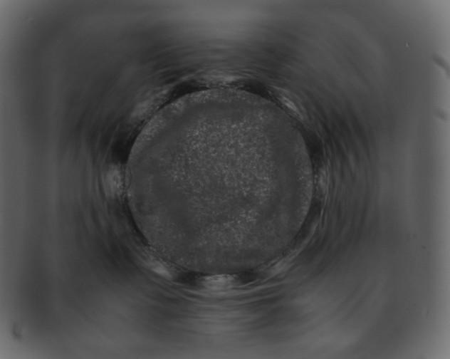 X0000092290335200710051206