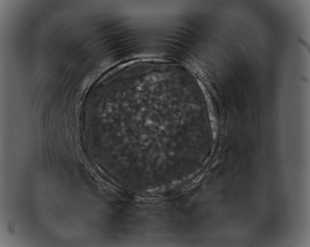 X0000092290337200710051206