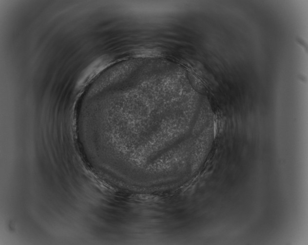 X0000092290339200710051206