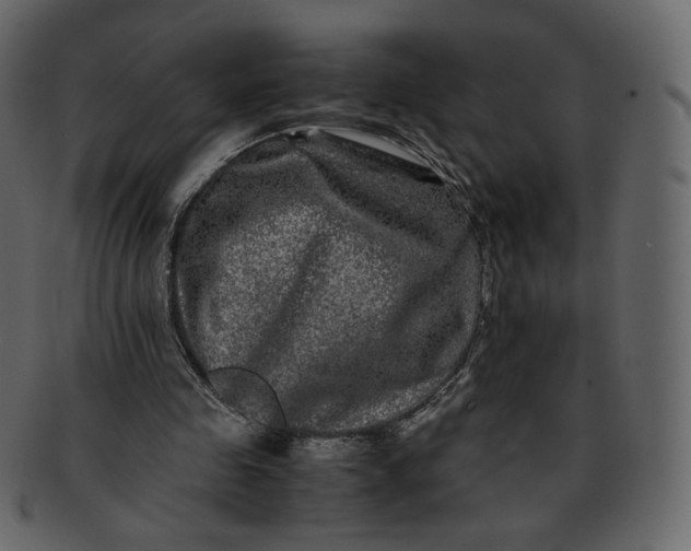 X0000092290341200710051206