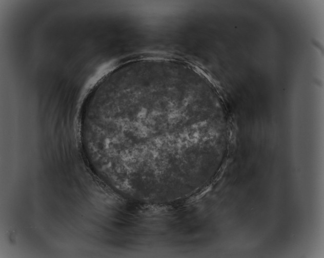 X0000092290343200710051206